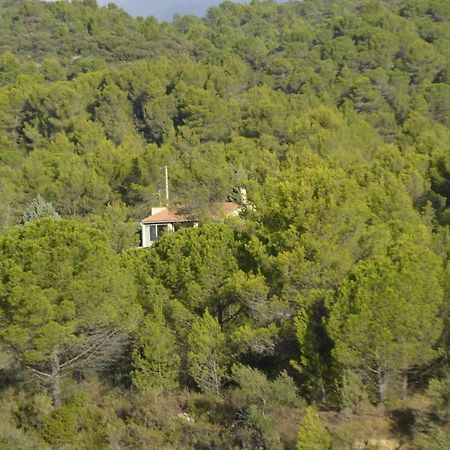 Вилла La Petite Cigale Cesseras Экстерьер фото